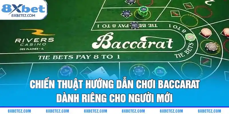 Chiến thuật hướng dẫn chơi Baccarat dành riêng cho người mới