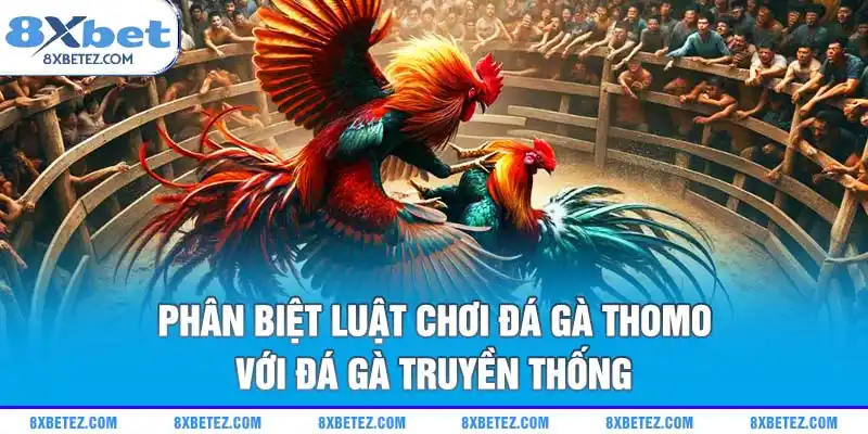 Phân biệt luật chơi đá gà Thomo với đá gà truyền thống