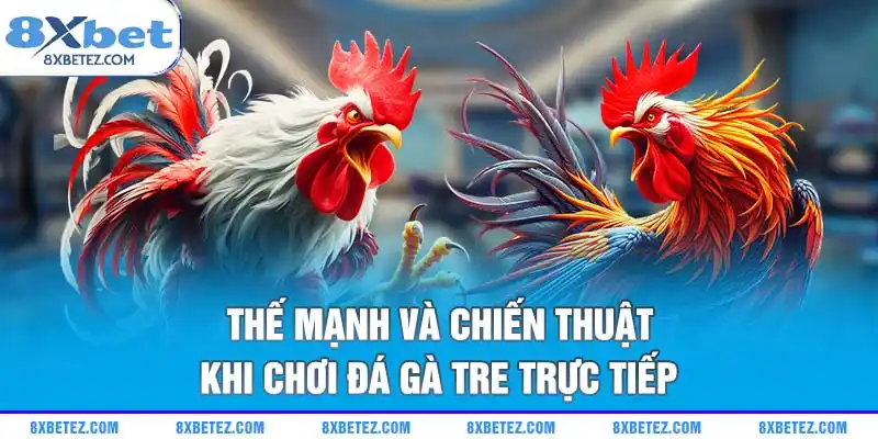 Thế mạnh và chiến thuật khi chơi đá gà tre trực tiếp