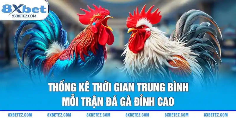 Thống kê thời gian trung bình mỗi trận đá gà đỉnh cao