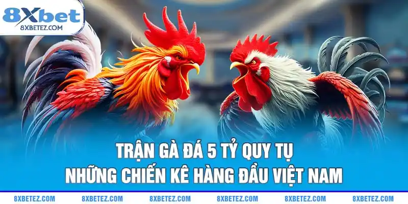 Trận gà đá 5 tỷ quy tụ những chiến kê hàng đầu Việt Nam